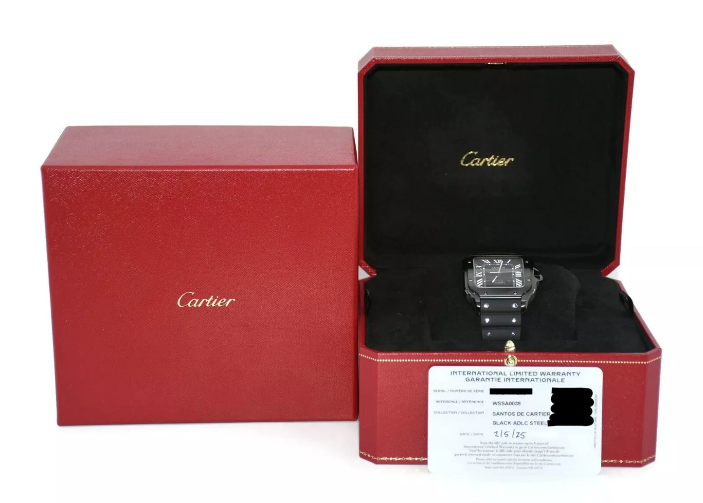 Cartier Santos ADLC Stainless Steel Watch WSSA0039