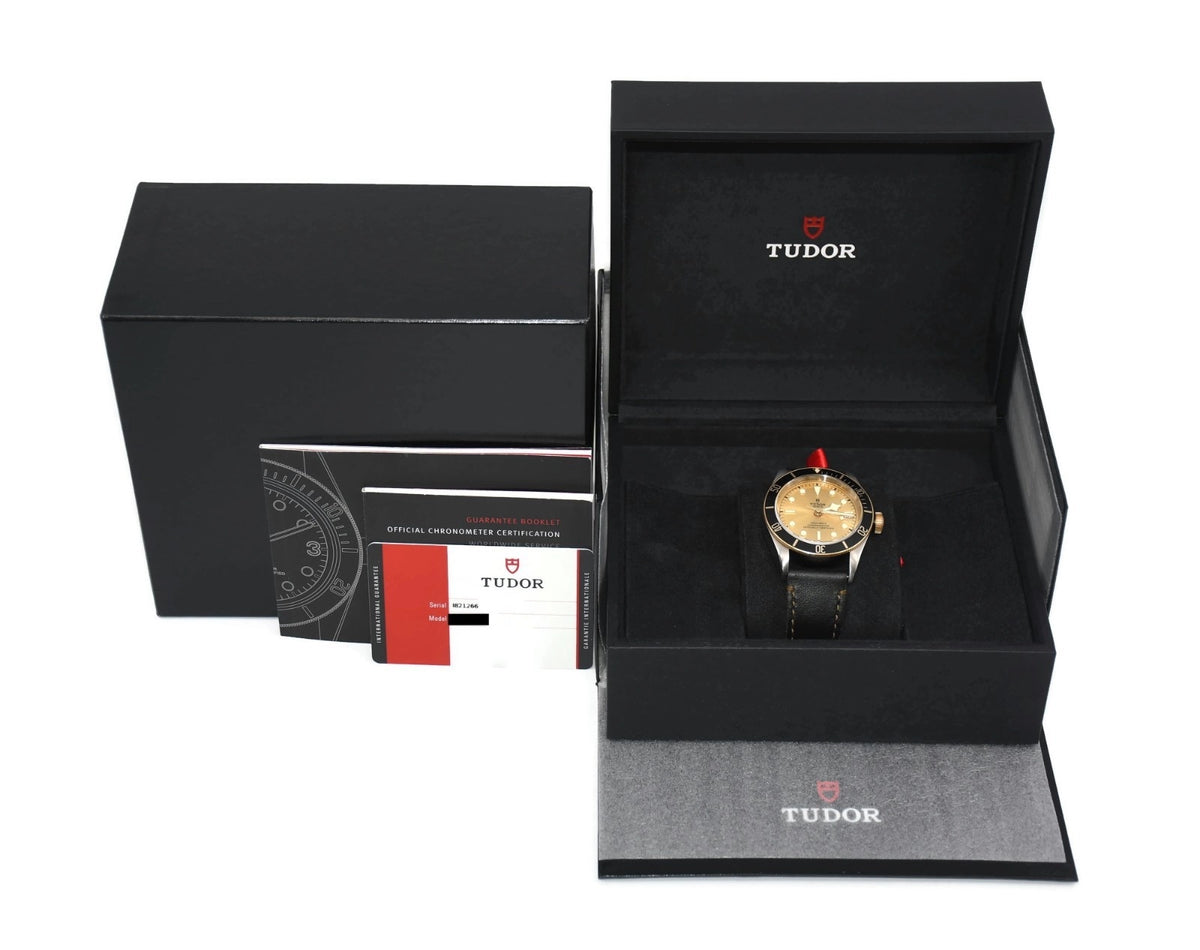 Tudor Black Bay S&G 18K/Stainless Steel Watch 79733N