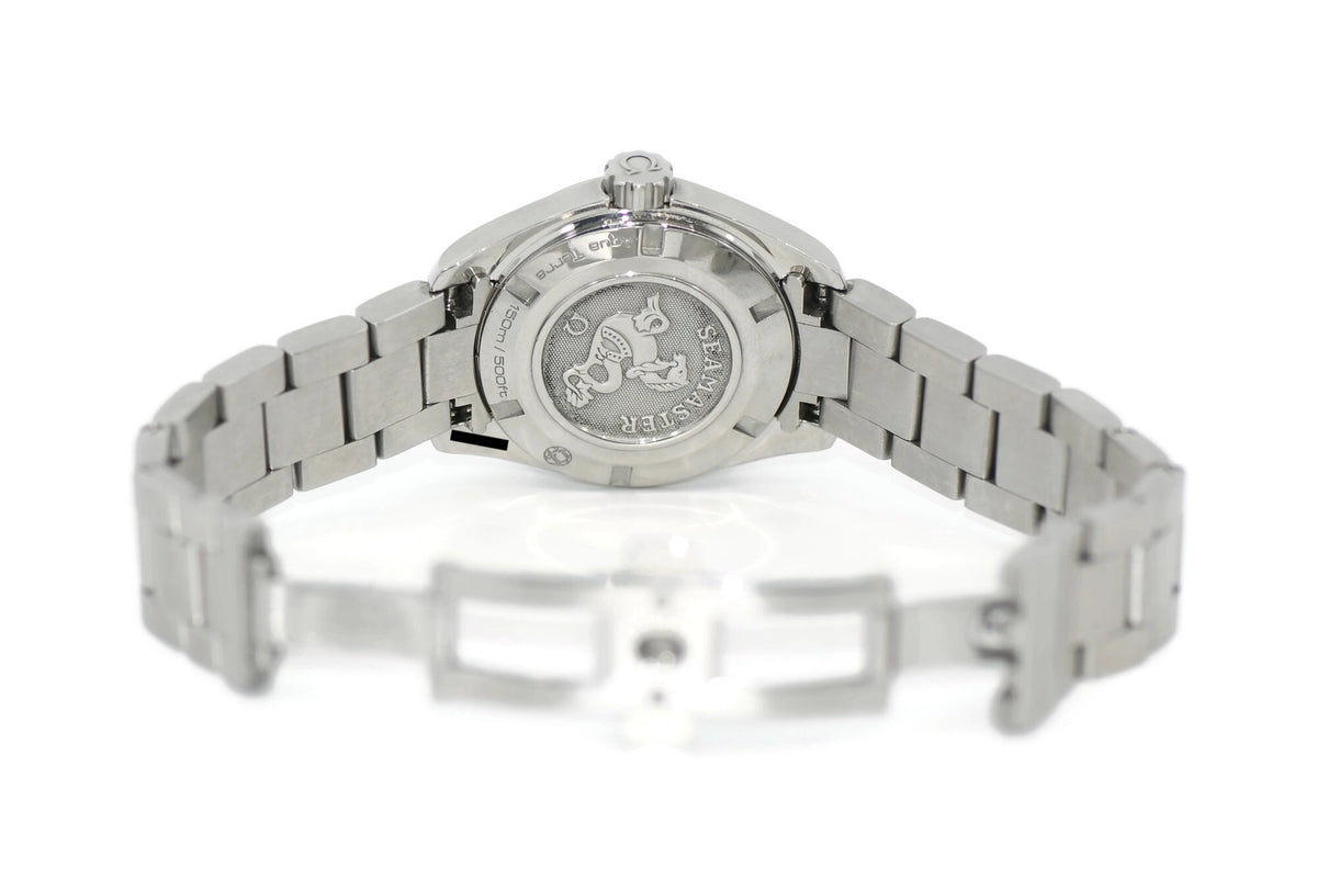 Omega Seamastet Aqua Terra Stainless Steel Watch 231.10.30.61.06.001