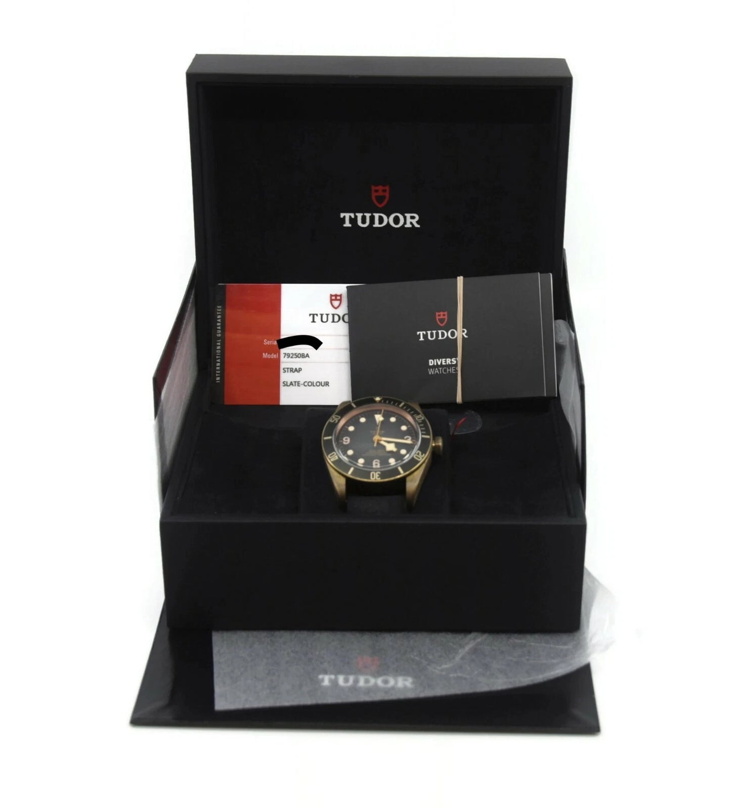 Tudor Black Bay Bronze Watch 79250BA