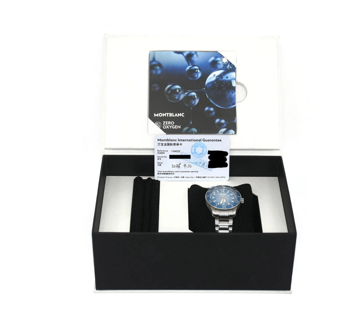 Montblanc Icea Sea Stainless Steel Watch 134022