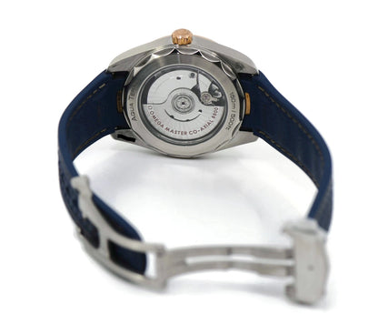 Omega Seamaster Aqua Terra 18K/Stainless Steel Watch 220.22.38.20.02.001