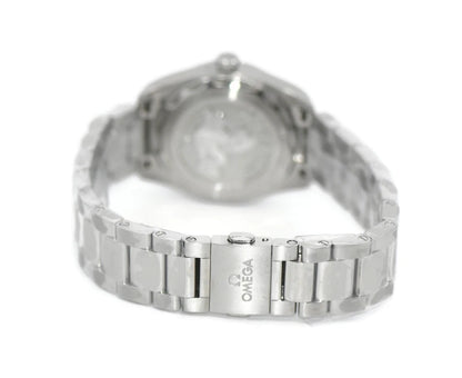 Omega Seamaster Aqua Terra Diamond Stainless Steel Watch 220.10.28.60.55.001