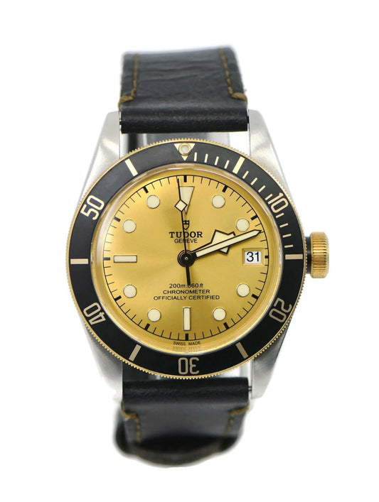 Tudor Black Bay S&G 18K/Stainless Steel Watch 79733N